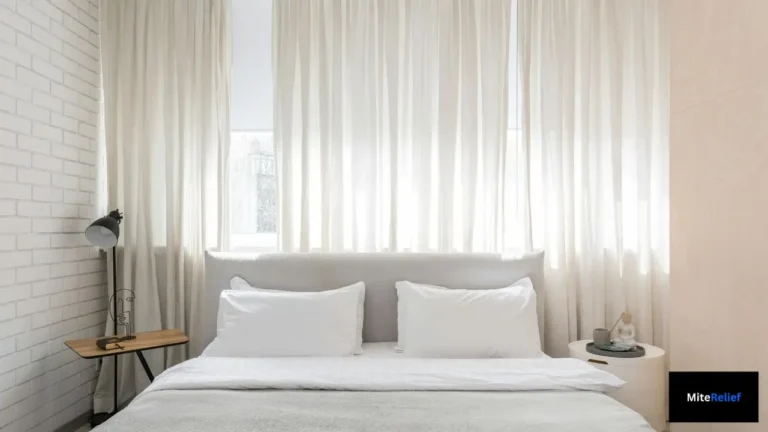 what are dust mites in bed and bedding