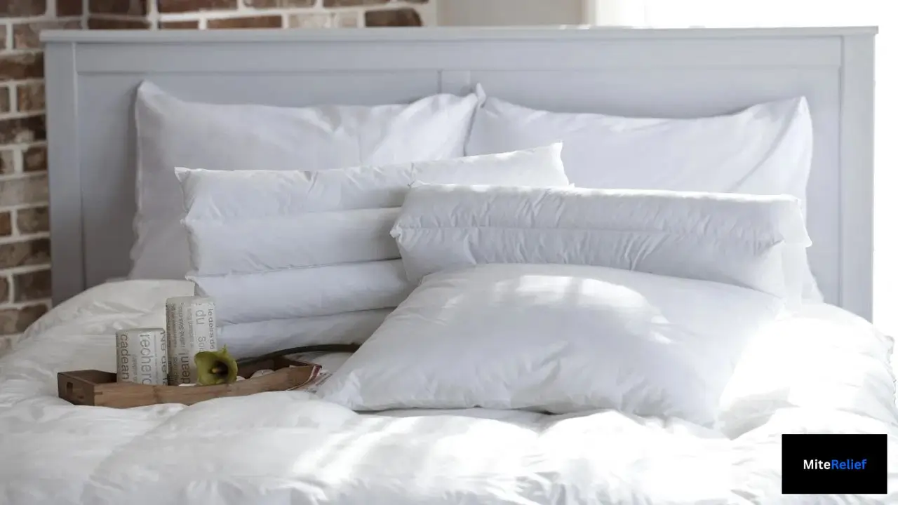 Best Bedding for Dust Mites: Covers, Sheets & Pillows That Help