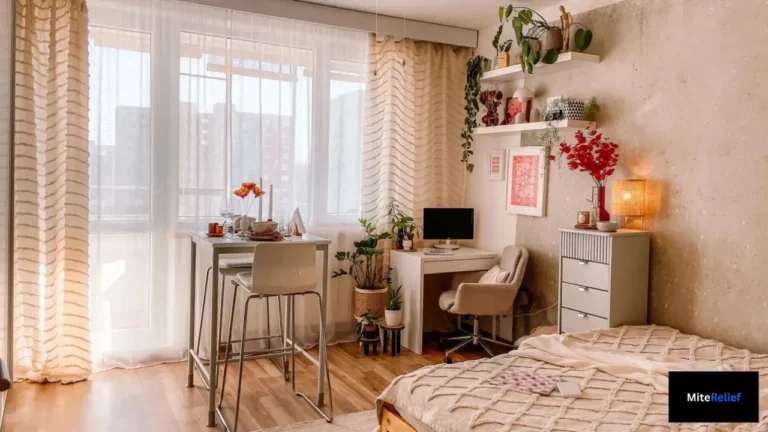 dust mites in your bedroom and ways to create a healthier sleeping environment