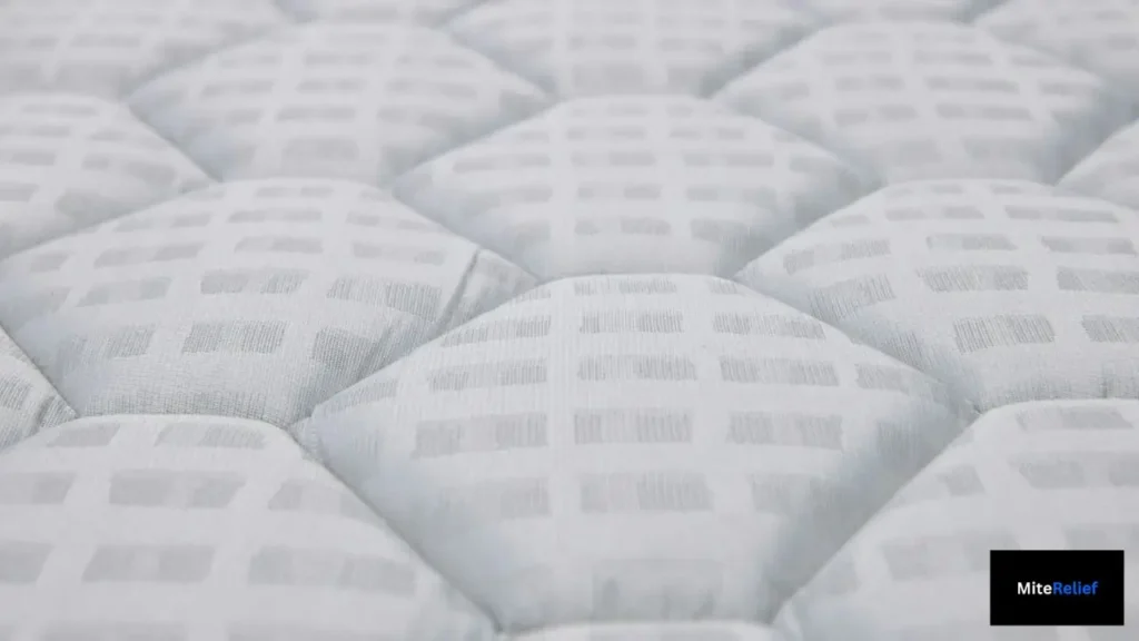mattress fabric close up texture habitat where dust mites live and cause symptoms