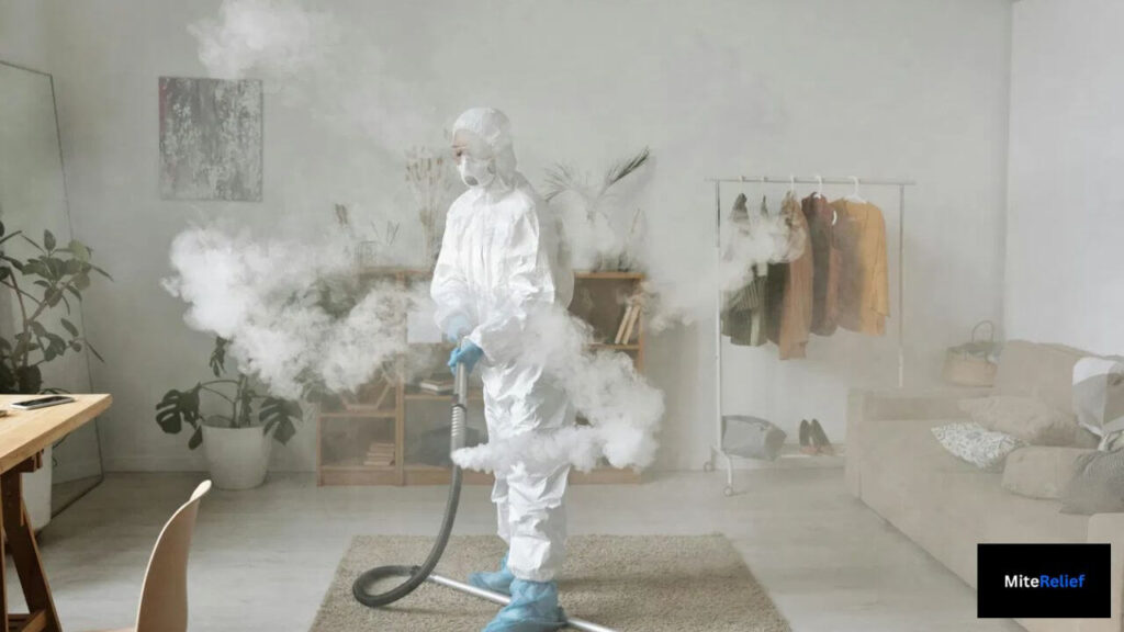 Steam cleaning a bedroom at 100°C to eliminate dust mites in mattresses and carpets