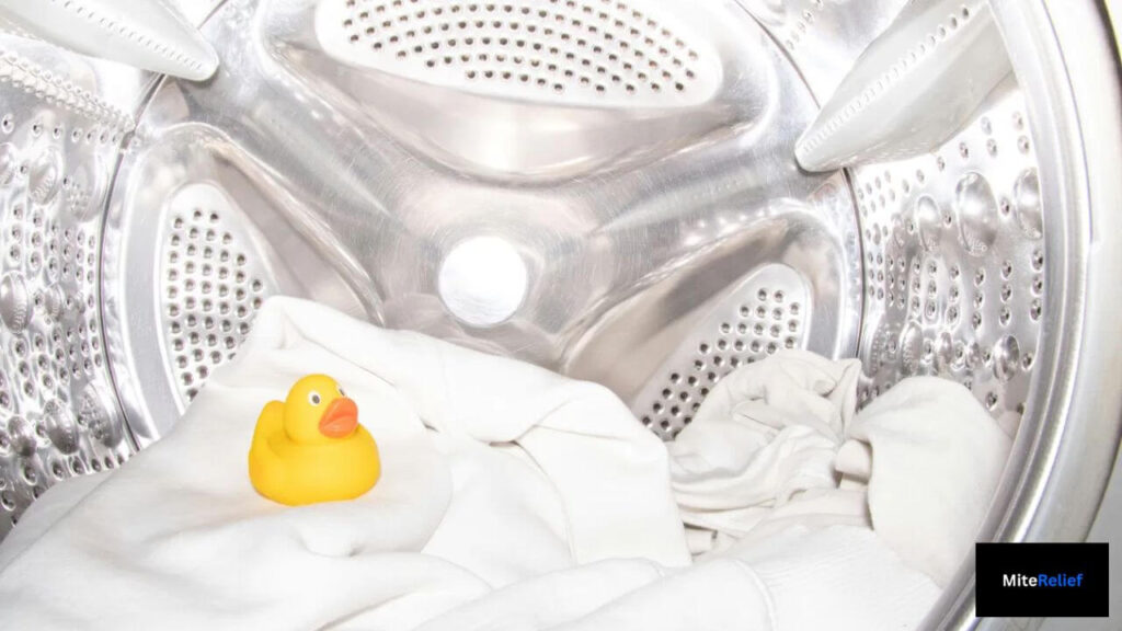 Dryer on high heat for 30 minutes to kill dust mites in bedding and textiles