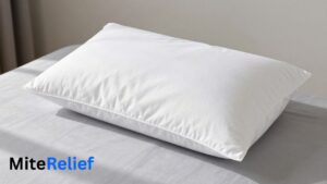 Best Pillow for Dust Mite Allergy: Complete Guide