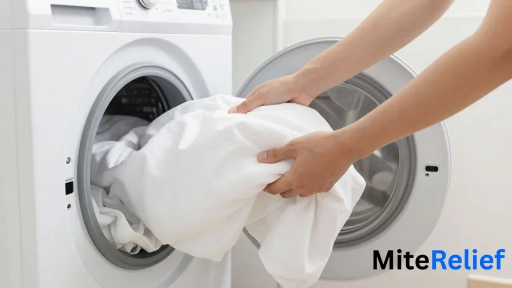 How to steam clean a mattress for dust mites
