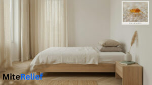 Best Bed for Dust Mite Allergy: Mattress, Base & Frame