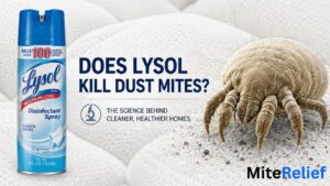 Does Lysol Kill Dust Mites? Bleach & Alcohol Explained