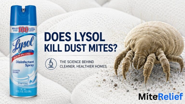 Does Lysol Kill Dust Mites