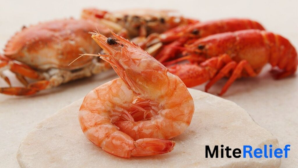 Shrimp and crustacean shellfish associated with dust mite cross-reactivity