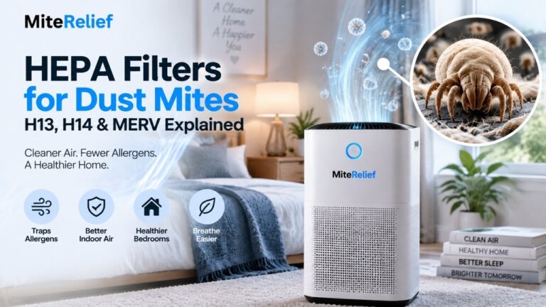HEPA Filters for Dust Mites