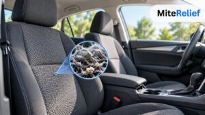 Dust Mites in Cars: Can Seats Hold Allergens? Cleaning Tips